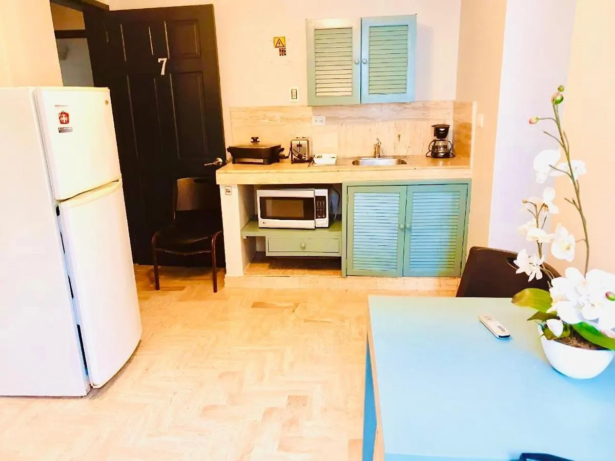 El Sol Del Caribe 5Ta Av Apart Suite Meksyk